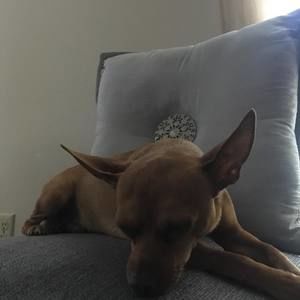 Meet your Posher, Claudia